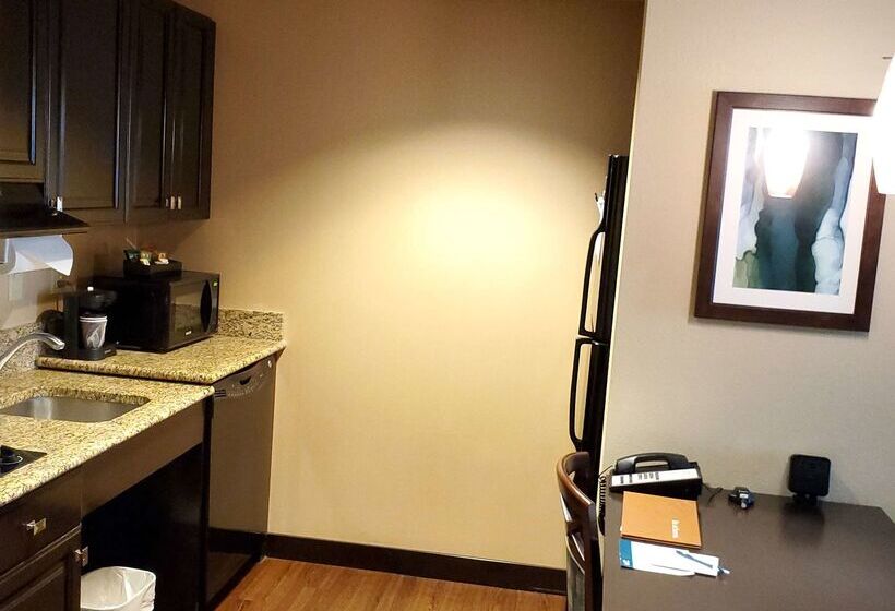 ホテル Homewood Suites By Hilton Phoenix Chandler/fashion Center