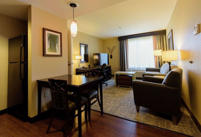 ホテル Homewood Suites By Hilton Phoenix Chandler/fashion Center