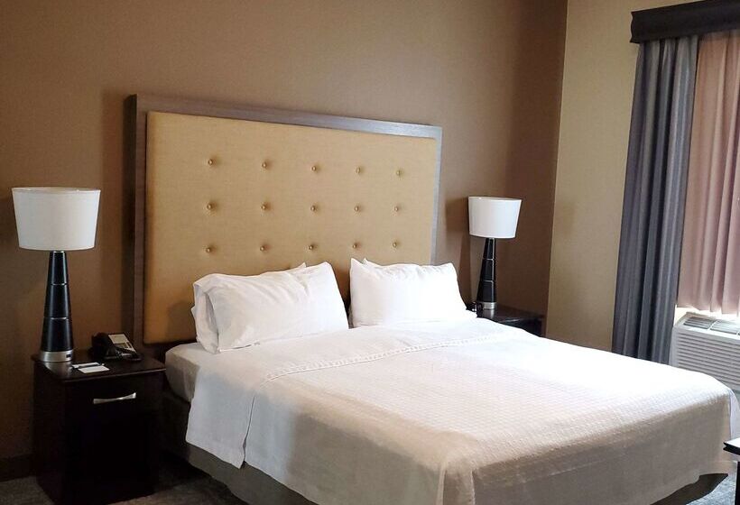 ホテル Homewood Suites By Hilton Phoenix Chandler/fashion Center