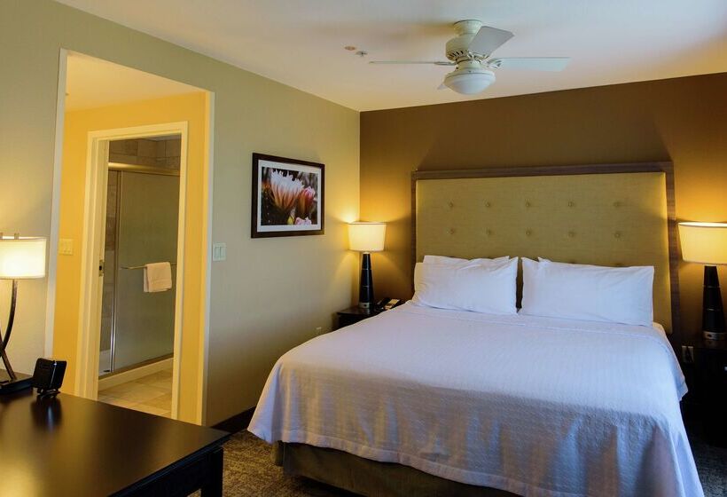 ホテル Homewood Suites By Hilton Phoenix Chandler/fashion Center