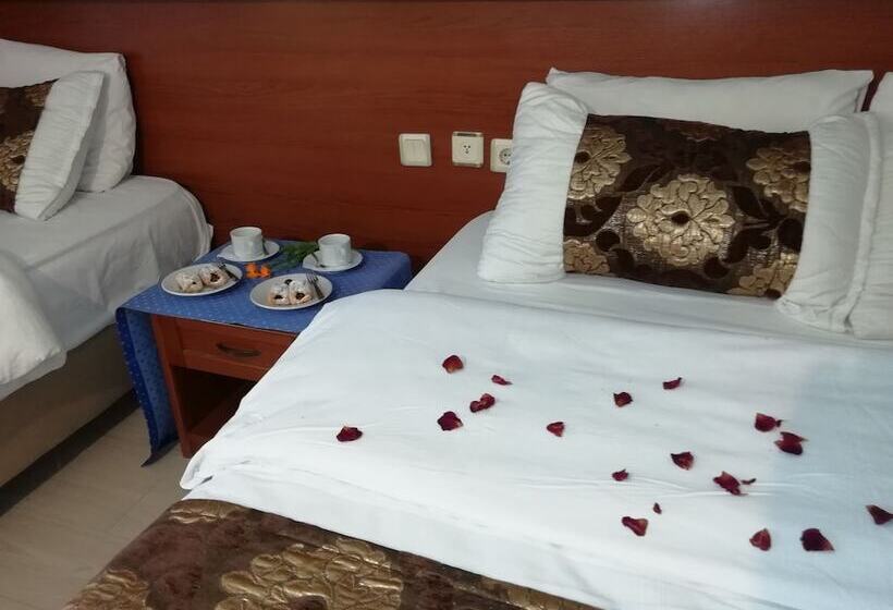 בית מלון כפרי Koray