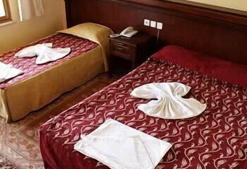 בית מלון כפרי Koray