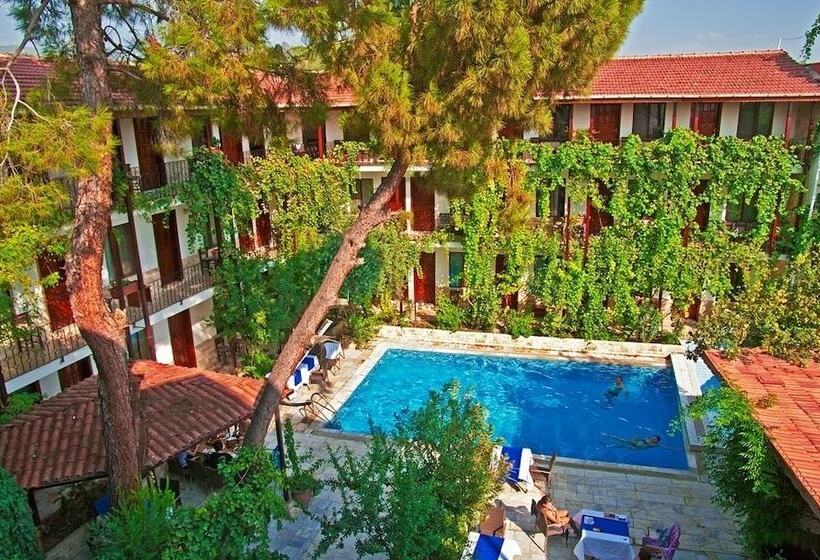 בית מלון כפרי Koray