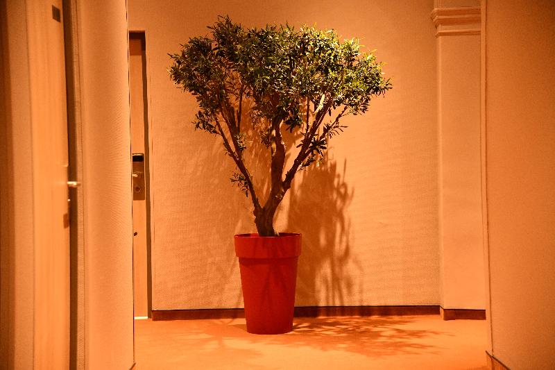 ホテル Lerie Notre Dame De Lumieres