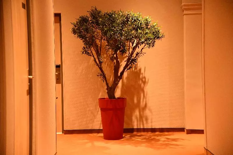 ホテル Lerie Notre Dame De Lumieres