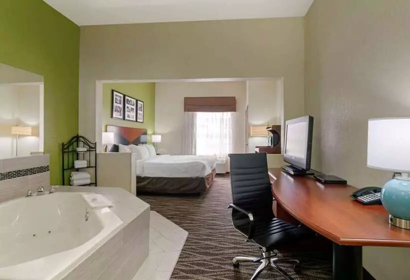 فندق Sleep Inn & Suites Montgomery East I85