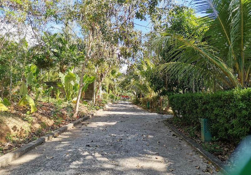 هتل Thai Modern Resort & Spa Newly Renovated