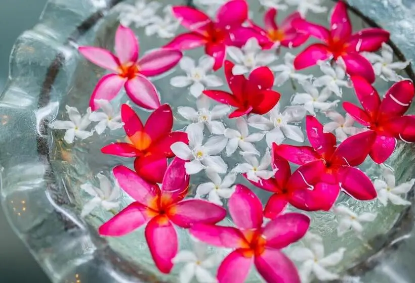 ホテル Thai Modern Resort & Spa Newly Renovated