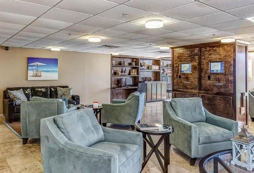 فندق Tidewater 3013 1035714