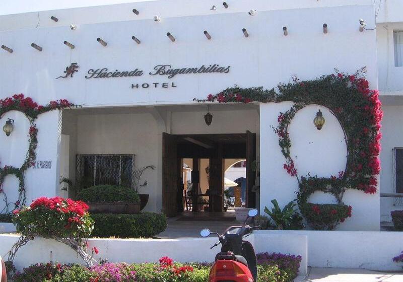 Отель Hacienda Bugambilias