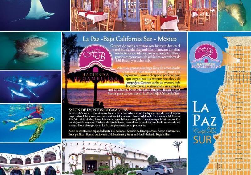 Отель Hacienda Bugambilias