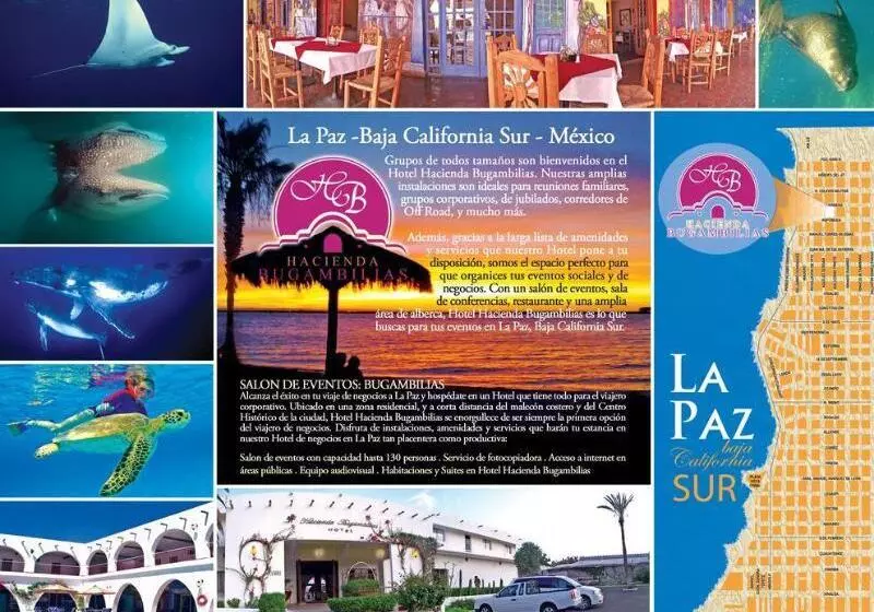 فندق Hacienda Bugambilias