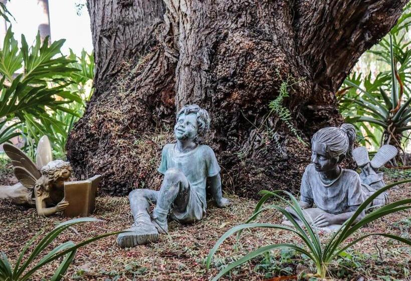 هتل Mirador Del Frayle