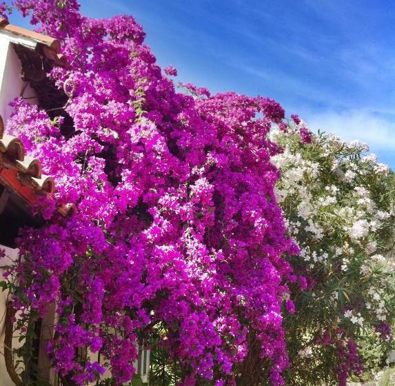 Hotel Nautilus Barbati