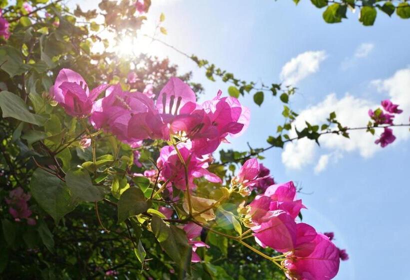 Puri Dewa Bharata Hotel & Villas