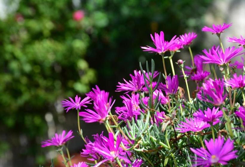 هتل & Spa Dona Urraca San Miguel De Allende