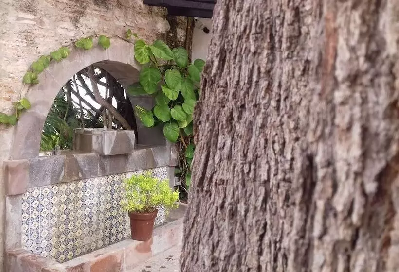 هتل & Spa Dona Urraca San Miguel De Allende