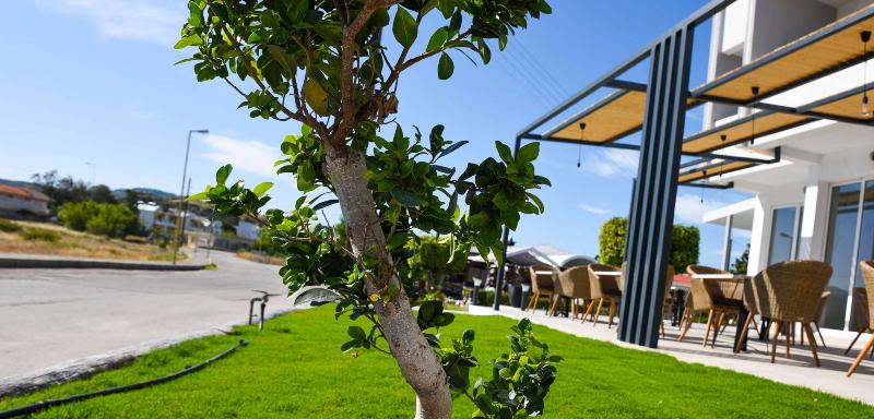 Tsampika Hotel Faliraki