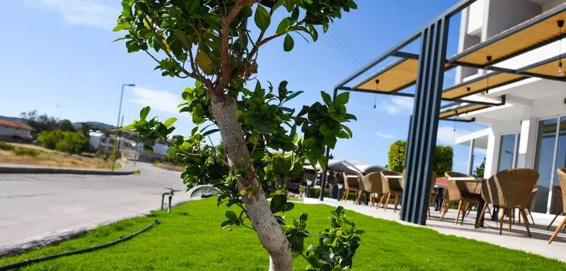 Tsampika Hotel Faliraki