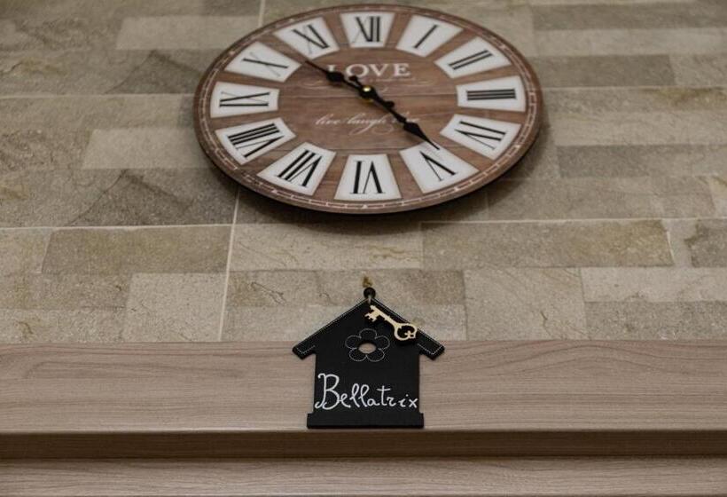 تختخواب و صبحانه Tizzy Apartment & Rooms