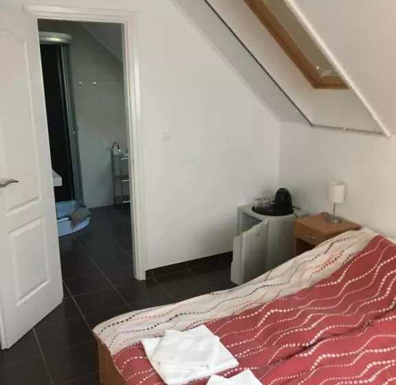 ペンション Bor Vendégház