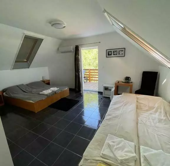 ペンション Bor Vendégház