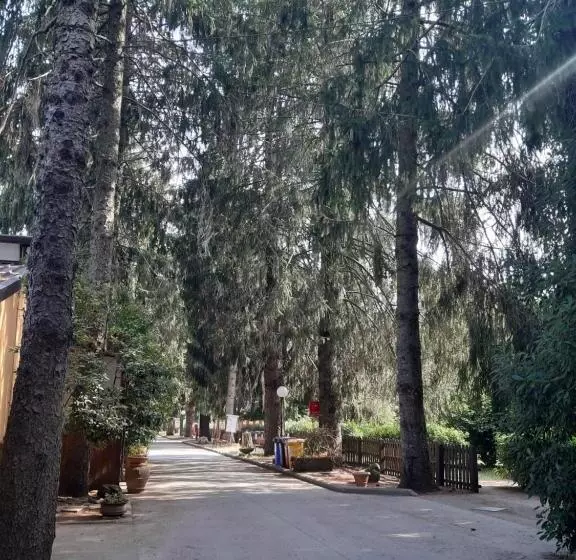 ホテル Agriturismo Iacchelli Armando B&b