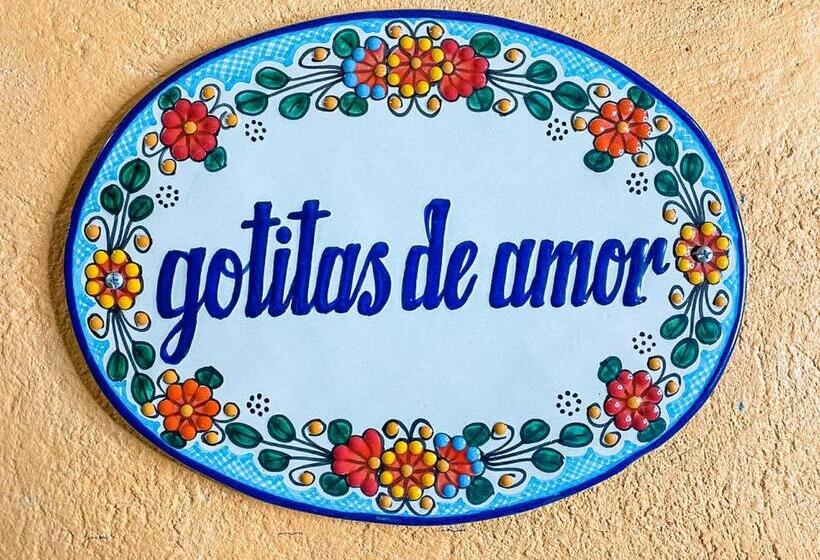 هتل Boutique Santo Cuervo