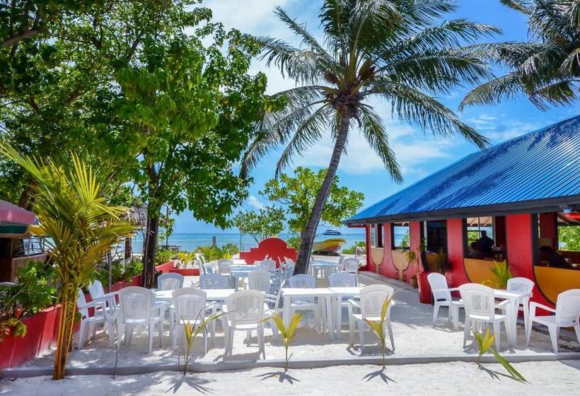 هتل Paradise Retreat, Maafushi
