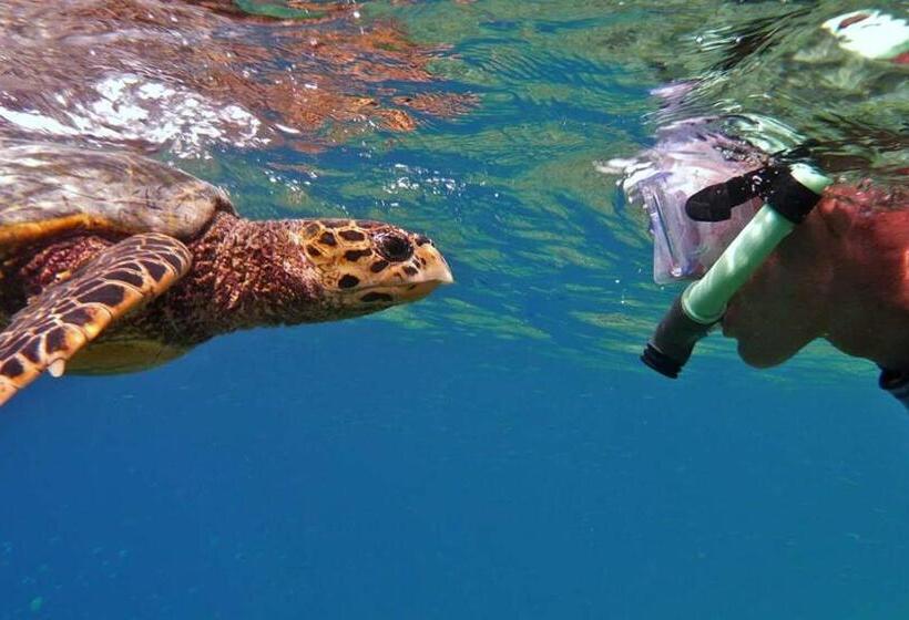 هتل Paradise Retreat, Maafushi