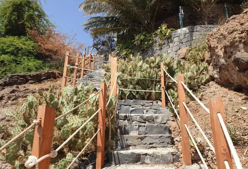 پانسیون Cactus Guest House