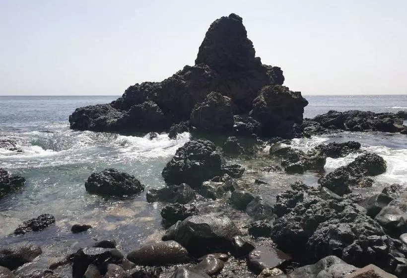 پانسیون Cactus Guest House