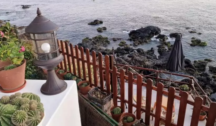 پانسیون Cactus Guest House