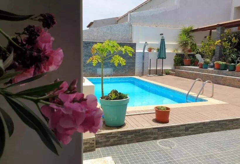 پانسیون Cactus Guest House