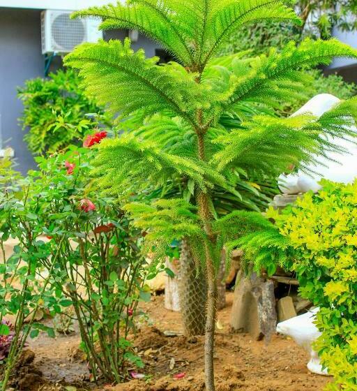 پانسیون Motseleng Guest House