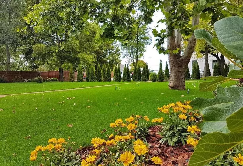 ホテル Czinege & étterem