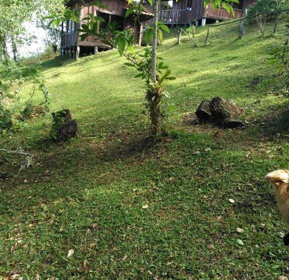 호텔 Cabañas Don Camilo Albergue De Montaña