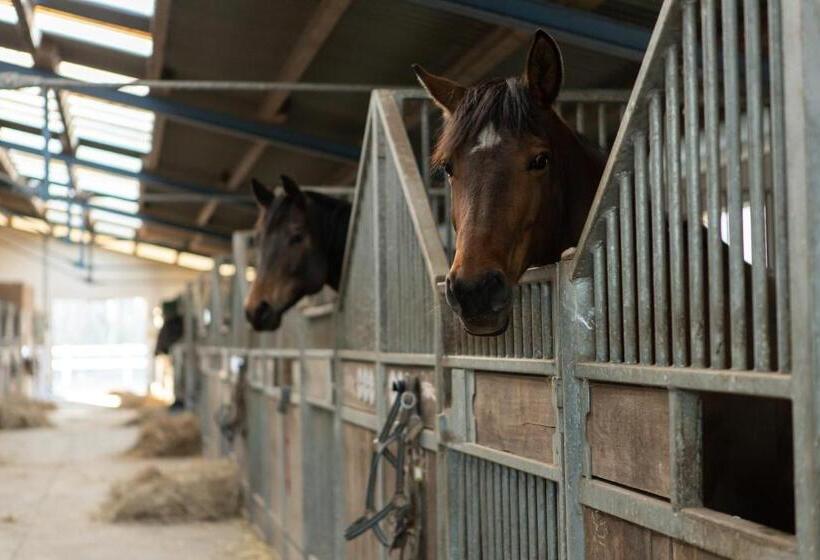 Boutique Hotel Gut Tribbevitz