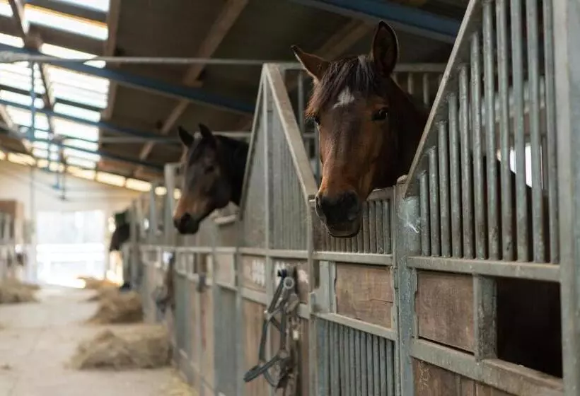 Boutique Hotel Gut Tribbevitz