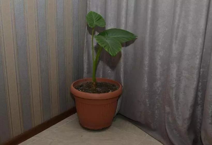 هتل My House In Akhaltsikhe