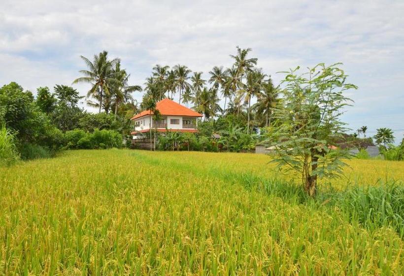 膳宿费 Villa Santai Karangasem