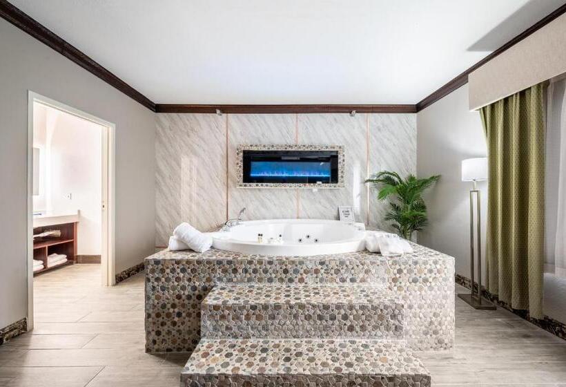 The Leo Collection Detroit, Ascend Hotel Collection