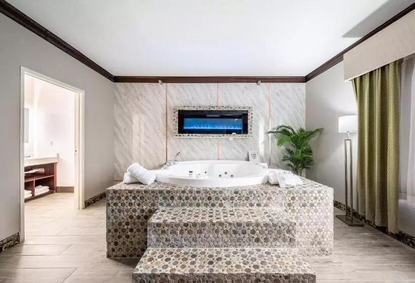 The Leo Collection Detroit, Ascend Hotel Collection