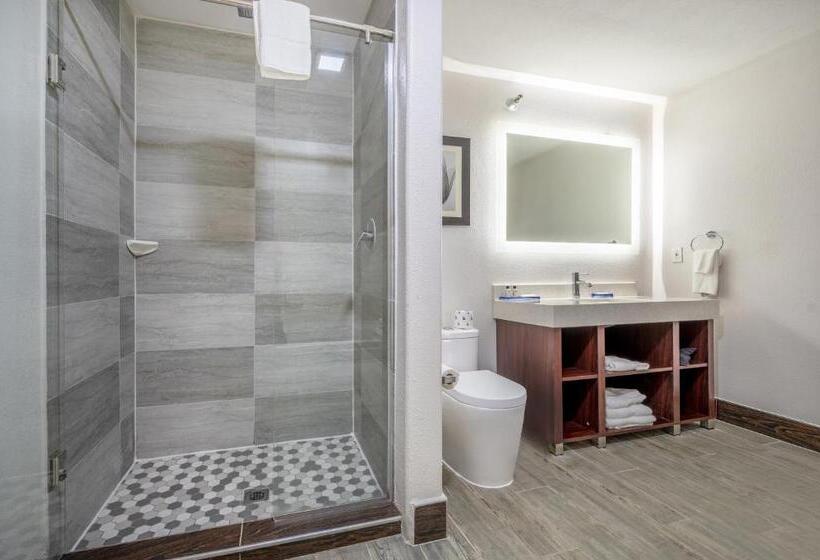 The Leo Collection Detroit, Ascend Hotel Collection