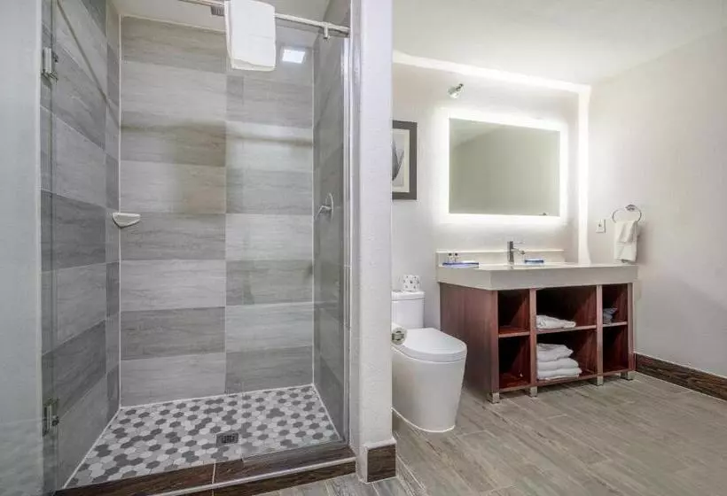 The Leo Collection Detroit, Ascend Hotel Collection