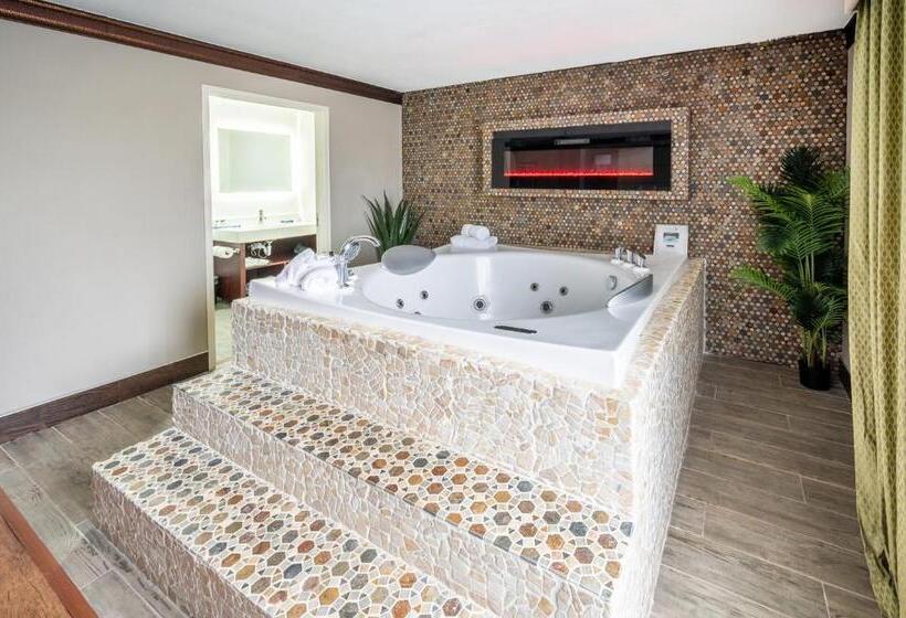 The Leo Collection Detroit, Ascend Hotel Collection