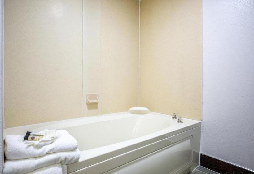 The Leo Collection Detroit, Ascend Hotel Collection