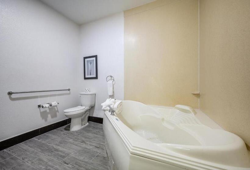 The Leo Collection Detroit, Ascend Hotel Collection