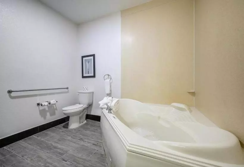 The Leo Collection Detroit, Ascend Hotel Collection