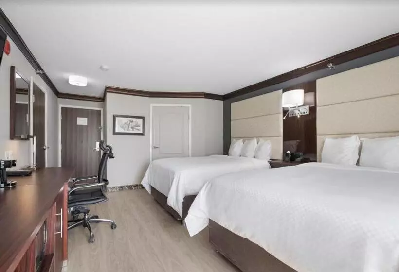 The Leo Collection Detroit, Ascend Hotel Collection